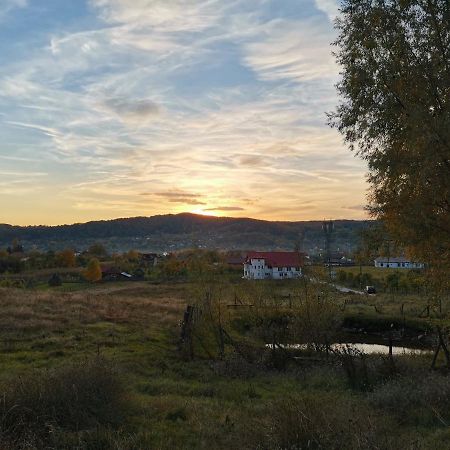 Casa Kotys Daire Albestii Paminteni Dış mekan fotoğraf