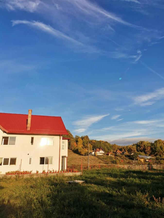 Casa Kotys Daire Albestii Paminteni Dış mekan fotoğraf