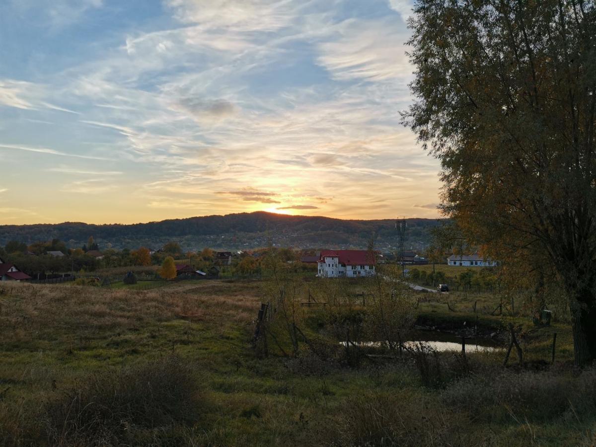 Casa Kotys Daire Albestii Paminteni Dış mekan fotoğraf