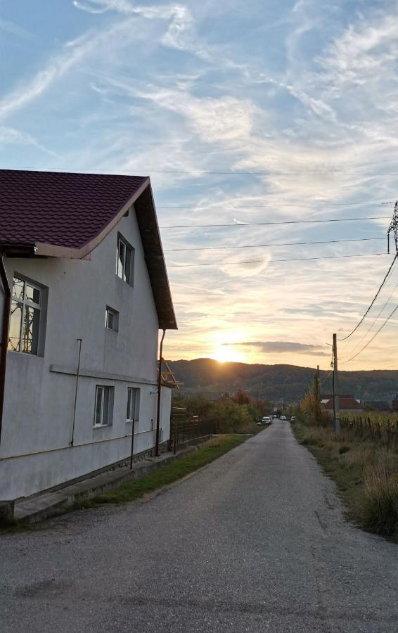 Casa Kotys Daire Albestii Paminteni Dış mekan fotoğraf